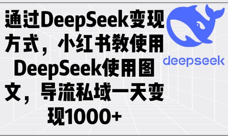 通过DeepSeek变现方式，小红书教使用DeepSeek图文，导流私域一天变现1000+睿集资源栈-网赚项目-副业赚钱-互联网创业-资源整合睿集资源栈