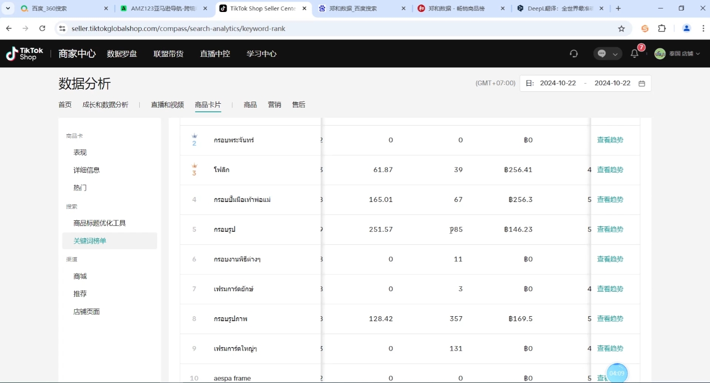 大鱼老师·Tiktok东南亚小店运营睿集资源栈-网赚项目-副业赚钱-互联网创业-资源整合睿集资源栈
