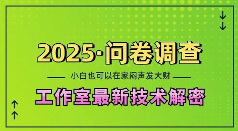2025问卷调查最新工作室技术解密：一个人在家也可以闷声发大财，小白一天2张，可矩阵放大【揭秘】睿集资源栈-网赚项目-副业赚钱-互联网创业-资源整合睿集资源栈