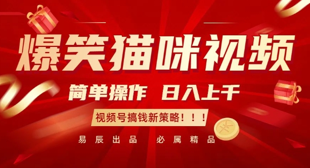 爆笑猫咪视频：简单操作，日入过K，视频号搞钱新策略【揭秘】睿集资源栈-网赚项目-副业赚钱-互联网创业-资源整合睿集资源栈