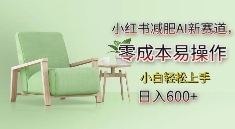 小红书减肥AI新赛道，零成本易操作，日入多张，小白轻松上手【揭秘】睿集资源栈-网赚项目-副业赚钱-互联网创业-资源整合睿集资源栈