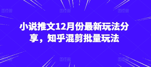 小说推文12月份最新玩法分享，知乎混剪批量玩法睿集资源栈-网赚项目-副业赚钱-互联网创业-资源整合睿集资源栈