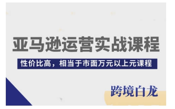 亚马逊运营实战课程，亚马逊从入门到精通，性价比高，相当于市面万元以上元课程睿集资源栈-网赚项目-副业赚钱-互联网创业-资源整合睿集资源栈