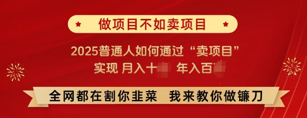 必看，做项目不如卖项目，2025普通人如何通过“卖项目”实现月入十个，年入百个睿集资源栈-网赚项目-副业赚钱-互联网创业-资源整合睿集资源栈