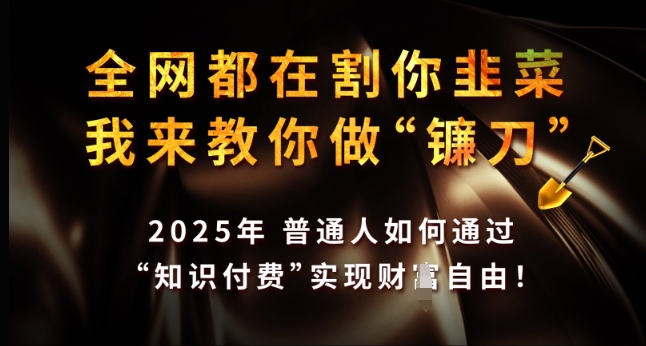 全网都在割你韭菜，我来教你做镰刀，2025年普通人如何通过 知识付费 实现财F自由【揭秘】睿集资源栈-网赚项目-副业赚钱-互联网创业-资源整合睿集资源栈