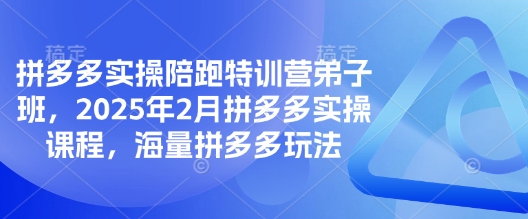 拼多多实操陪跑特训营弟子班，2025年2月拼多多实操课程，海量拼多多玩法睿集资源栈-网赚项目-副业赚钱-互联网创业-资源整合睿集资源栈