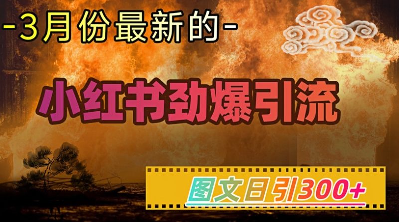 小红书超劲爆引流手段，图文日引300+轻松变现1W睿集资源栈-网赚项目-副业赚钱-互联网创业-资源整合睿集资源栈