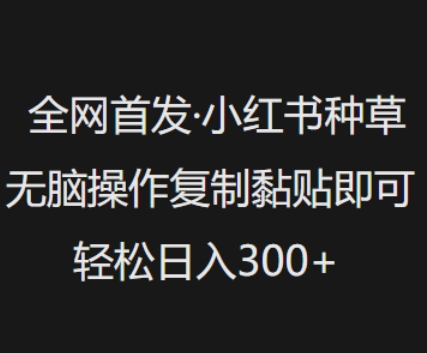 全网首发，小红书种草无脑操作，复制黏贴即可，轻松日入3张睿集资源栈-网赚项目-副业赚钱-互联网创业-资源整合睿集资源栈