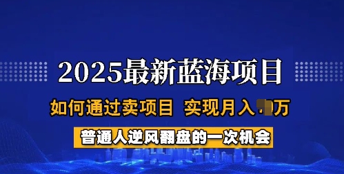 2025蓝海项目，普通人如何通过卖项目，实现月入过W，全过程【揭秘】睿集资源栈-网赚项目-副业赚钱-互联网创业-资源整合睿集资源栈