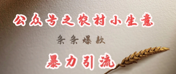 deepseek写农村小项目，条条爆款，暴力引流睿集资源栈-网赚项目-副业赚钱-互联网创业-资源整合睿集资源栈