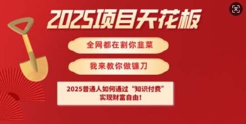 2025项目天花板普通人如何通过知识付费，实现财F自由【揭秘】睿集资源栈-网赚项目-副业赚钱-互联网创业-资源整合睿集资源栈