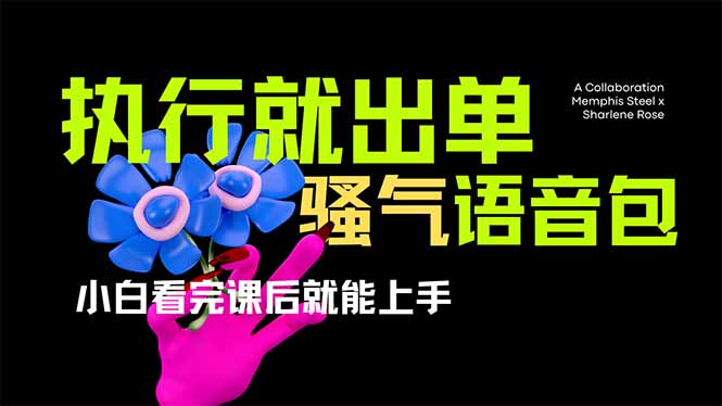 爆火全网的开车导航骚气语音包,只要执行就出单，小白看完课程就能实操…睿集资源栈-网赚项目-副业赚钱-互联网创业-资源整合睿集资源栈