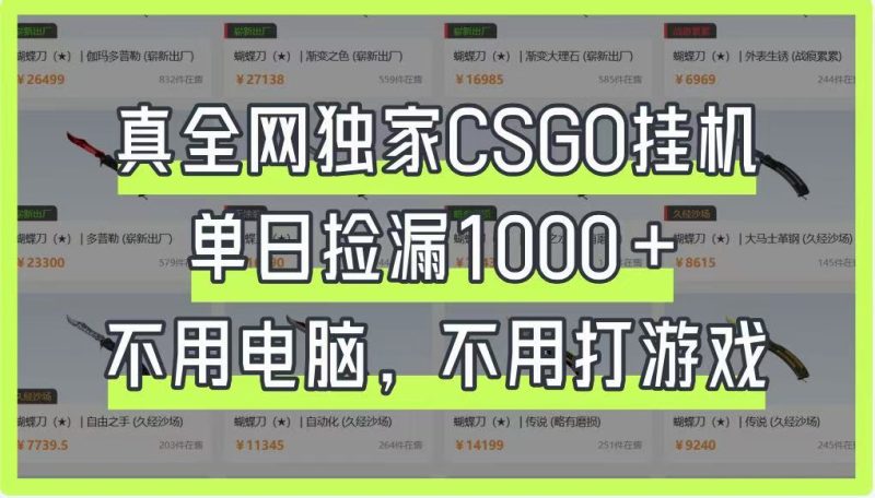 真全网独家CSGO挂机，单日捡漏1000+，不用电脑，不用养号睿集资源栈-网赚项目-副业赚钱-互联网创业-资源整合睿集资源栈