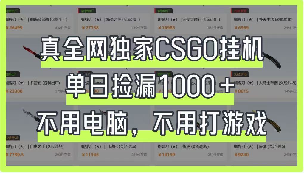 真全网独家CSGO挂机，单日捡漏1000+，不用电脑，不用养号睿集资源栈-网赚项目-副业赚钱-互联网创业-资源整合睿集资源栈