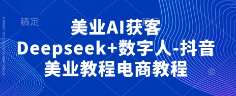 美业AI获客Deepseek+数字人-抖音美业教程电商教程睿集资源栈-网赚项目-副业赚钱-互联网创业-资源整合睿集资源栈